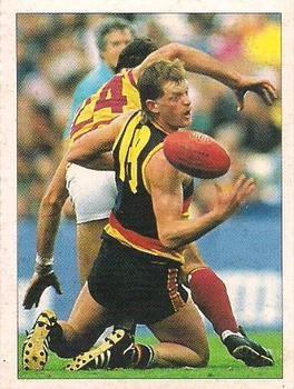 1992 Select AFL Stickers #15 Rodney Maynard Front